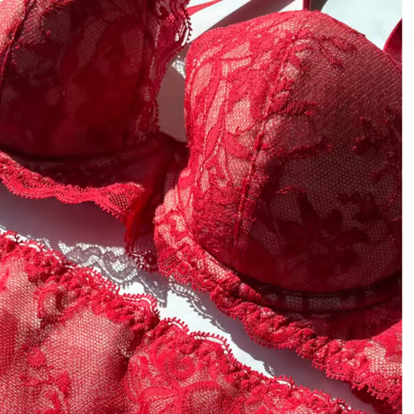 SALE Serruria Berry Underwire Bra